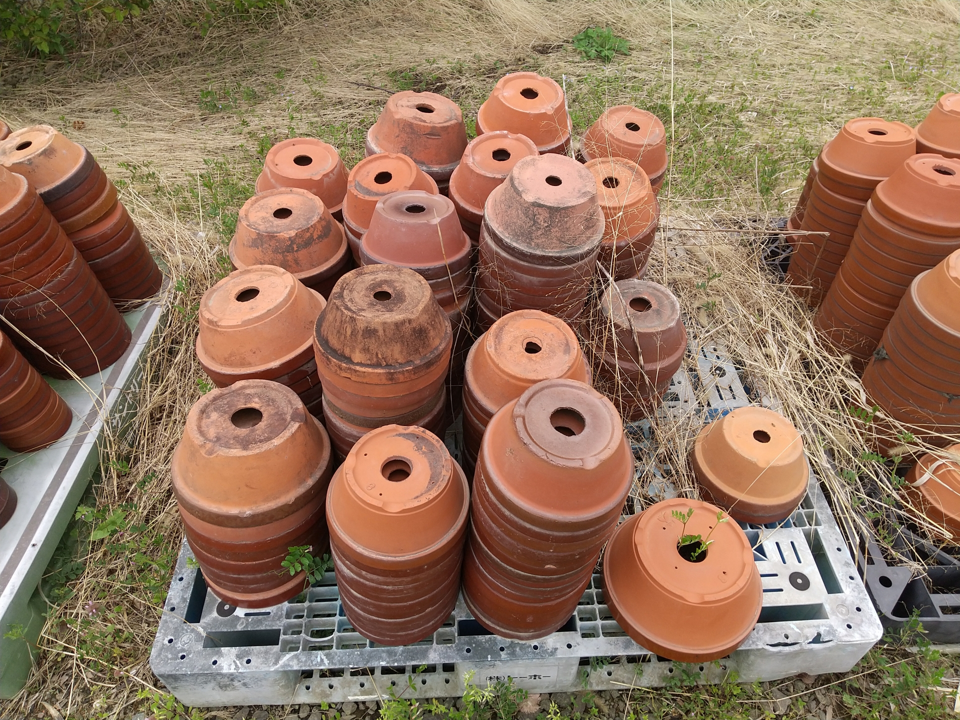 江東区で植木鉢・陶器・プランターの処分にお困りなら便利屋「おまかせ